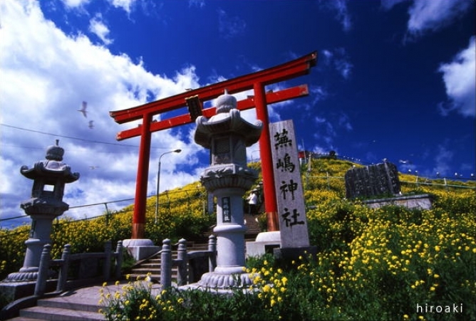 蕪島