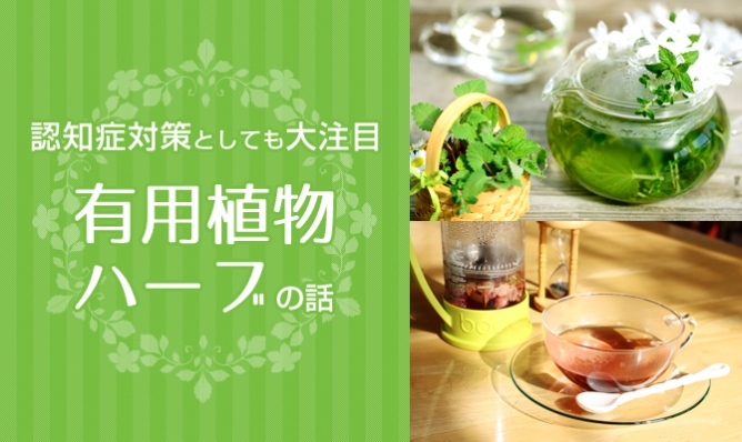 特集 認知症対策としても大注目 有用植物ハーブの話 オラシティ八戸