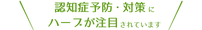 認知症予防・対策にハーブが注目されています