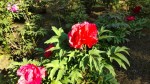 5���炫�ɂȂ�܂����B
